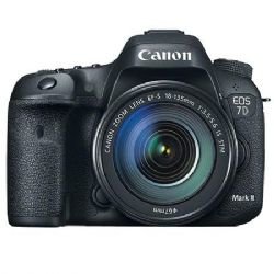 Canon EOS 7D Mark II W/ Canon 18-135mm IS Lens