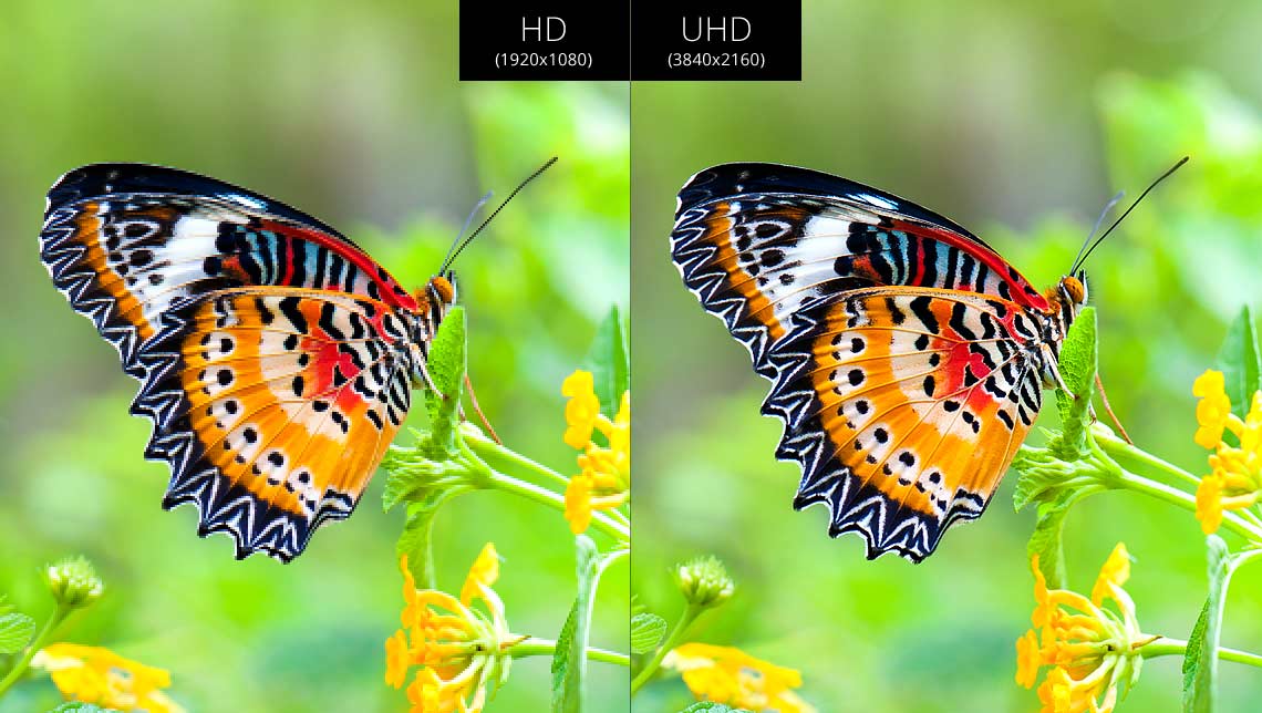HD vs. Ultra HD
